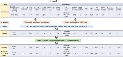 Left ventricular unloading with gentle chest compressions for patients on veno-arterial extracorporeal membrane oxygenation: two case reports